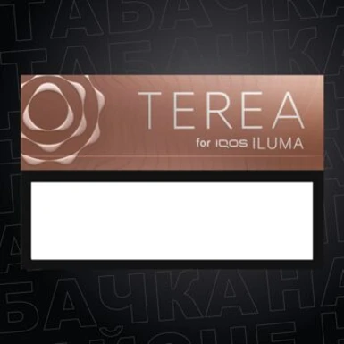 Стики TEREA Teak ОАЭ для IQOS ILUMA