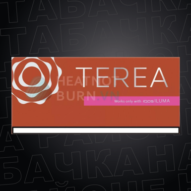 Стики TEREA Amber Корея для IQOS ILUMA