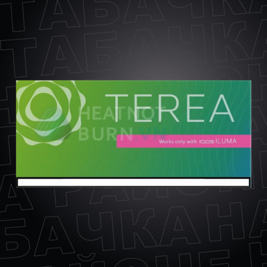 Стики TEREA Green Zing Корея для IQOS ILUMA